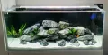 White Sand For Aquarium - 0.5/01/02 Kg pack You can Select Planted Aquarium White Sand - একুরিয়ামের জন্য সাদা বালি.