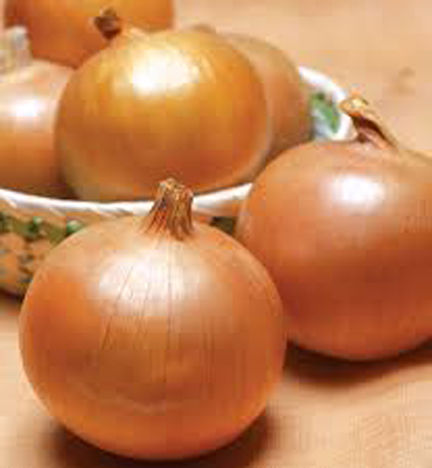 Onion%20Seeds%20-%20100%20pcs%20Imported%20F1%20Hybrid%20Spring%20Cut%20Bunching%20-%20Image%204