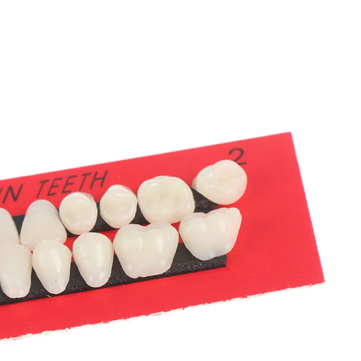 28pc%20Acrylic%20Resin%20Teeth%20Denture%20Upper%20Lower%20Shade%2023#%20A2%20Dental%20-%20Image%203