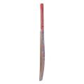 Cricket Bat - Multi Color. 