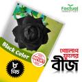 Black Rose Flowers seeds 8pics + Gift. 