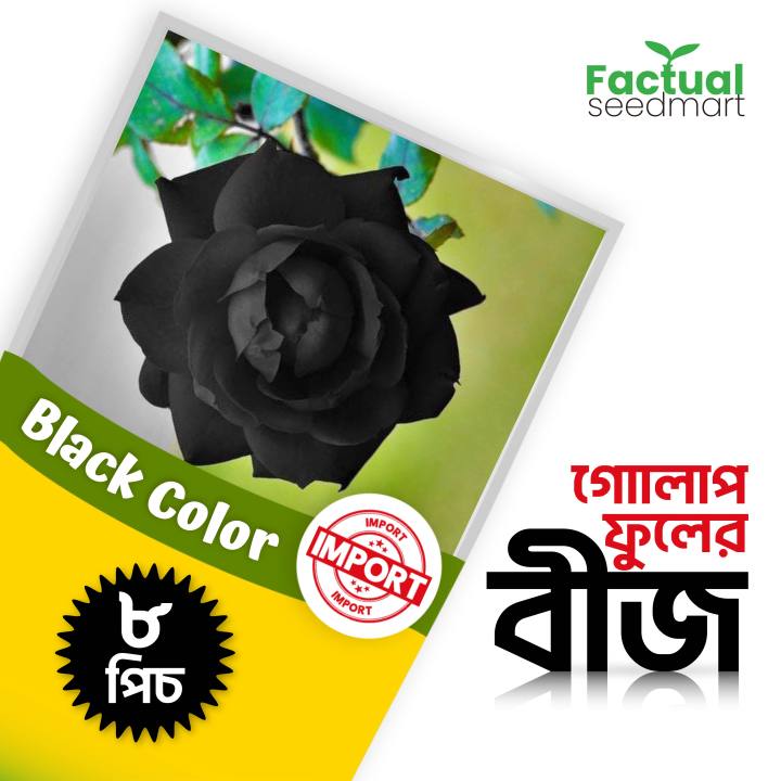 Black Rose Flowers seeds 8pics + Gift