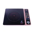 Gazi IF-HL01 2000W Smiss Infrared Cooker. 