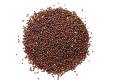 Mustard Seeds/ Sorisa/ Sorisha Dana (Red)- 1 kg. 
