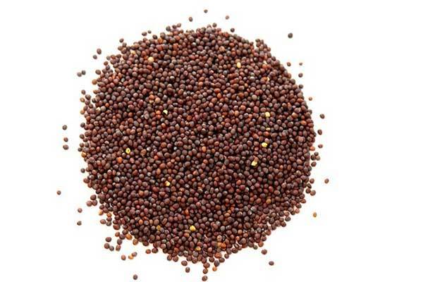 Mustard%20Seeds/%20Sorisa/%20Sorisha%20Dana%20(Red)-%201%20kg%20-%20Image%203
