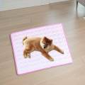 Dog Cooling Mat Dog Bed Sleeping Pad Cooling Cushion for Car Puppy Floor Outdoor , pink XL. 