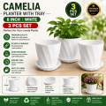 6 Inchi Camelia Planter white 3 Pcs with Tray. 