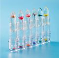 Magic Jelly Flower Lipstick Temperature Changing Lip Blam Transparent Moisturizing Lip Korean Tools. 