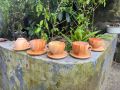Customized Handmade Mahogany Wooden Cup - Unique and Personalized Gift for Your Loved Ones - Wooden Cup.