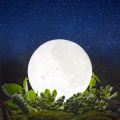 Moon Light Study Creative DIY Moon Light Led Bed Desk Lamp Gift. 