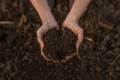 Vermicompost /Kecho Sar Organic Compost fertilizer for Plants Plant food  pack. 