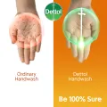 Free Tiffin Box with Dettol Handwash Re-Energize 200ml Pump + 170ml Refill Combo.