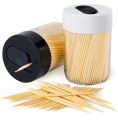 1Box- Dental Floss Toothpick For Teeth.
