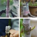 80m Nursery Grafting Stretchable Tape Self-Adhesive For Garden Tree Seedling. 