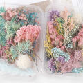 【In-Demand Item】 Dried Flowers Natural Floral Art Craft Scrapbooking Resin Jewelry Making mold Cherry Super Store. 