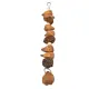 Bird Chew Toys, Parrot Nuts Chew Toy Decorative for Budgies for Macaws. 