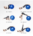 Gym Exercise Ball with Pumper For Body Fitness yoga Ball (75 cm)- Premium Quality. 
