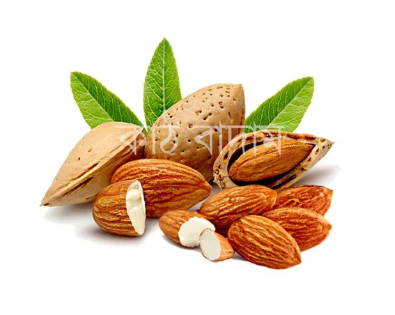 Almond%20Nut%20-%20Kath%20Badam%20-%20500gm%20-%20Image%202
