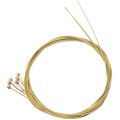 12 Pcs Steel Strings Replacement for Acoustic Guitar New Silver+Brass.