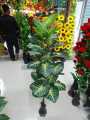 Artificial Plant - Home Decoration Item - Home Decoration Item.