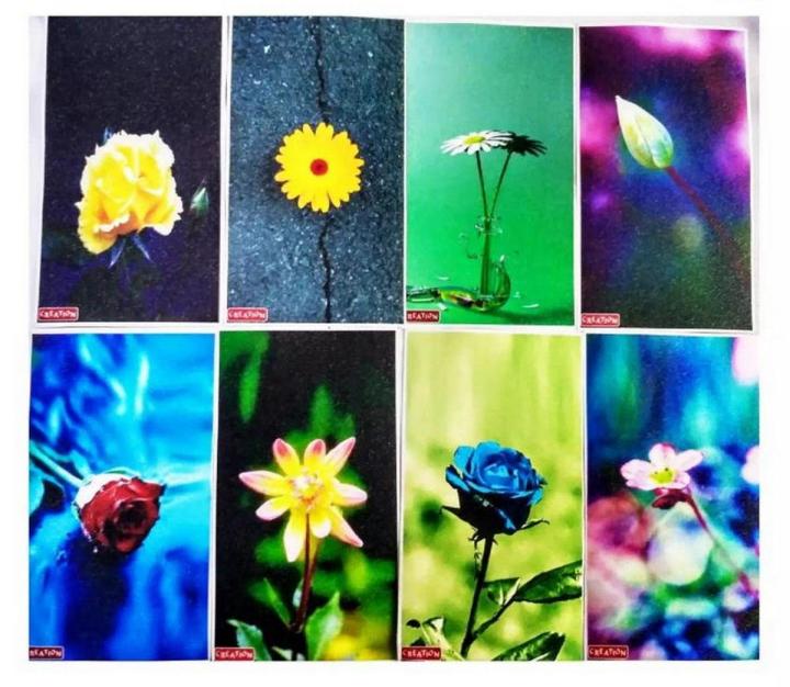 3D%20Mobile%20Back%20Sticker%201pis%20-%20Image%203