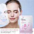 Set Moisturizing Facial Mask Anti Wrinkle Hydrating Sleeping Face Sheet Mask Brightening Night Face Mask Face Cover For Skincare. 