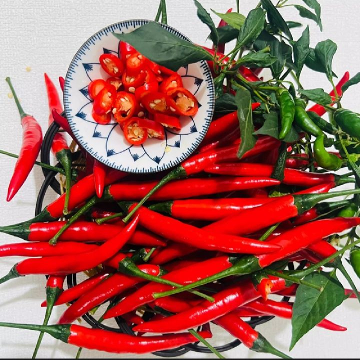 Thai%20Hybrid%20Spaicy%20Red%20Hot%20Pepper%20Seeds%20-%2030+%20Pcs%20Seeds%20-%20Image%204