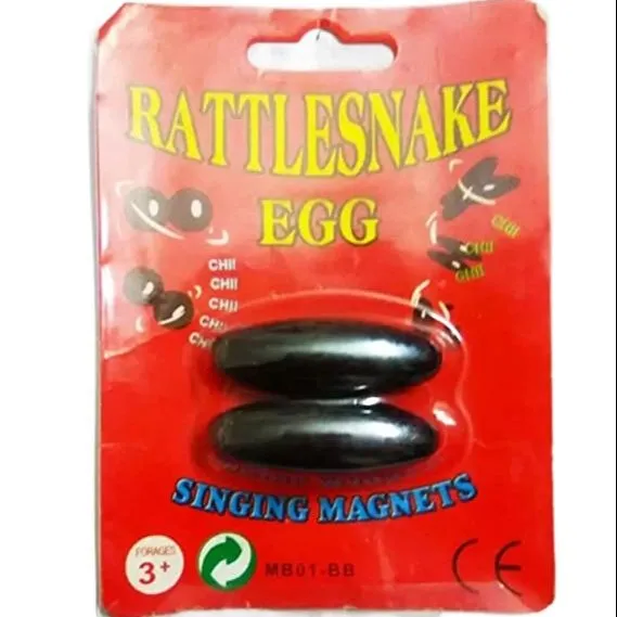 Singing%20Magnet%20Rattlesnake%20Egg%20Shape%20Magnet%20-2%20Pcs%20-%20Image%202
