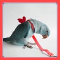 VibeVendor Bird leash, Pet Parrot Bird Harness and Leash Flying Rope Straps Outdoor Bird Flying Harness Training Traction Rope for Budgerigar Cockatiel Small Birds.