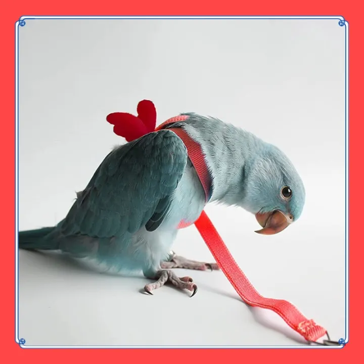 VibeVendor%20Bird%20leash,%20Pet%20Parrot%20Bird%20Harness%20and%20Leash%20Flying%20Rope%20Straps%20Outdoor%20Bird%20Flying%20Harness%20Training%20Traction%20Rope%20for%20Budgerigar%20Cockatiel%20Small%20Birds%20-%20Image%207