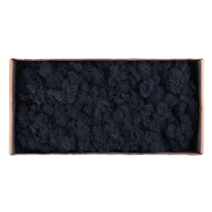 Natural%20Decoration%20Norwegian%20Reindeer%20Moss%20Preserved%20Dried%20Craft%20Flower%20500g%20Box%20-%20Image%204