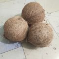 Dry Coconut Seed 1 peices 800gm-1000gm Big size. 