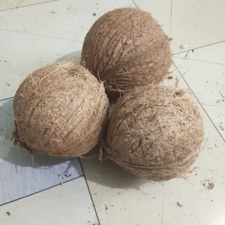 Dry%20Coconut%20Seed%201%20peices%20800gm-1000gm%20Big%20size%20-%20Image%207