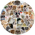 50Pcs Cute Cartoon Cat Stickers Funny Cat Memes Graffiti Stickers for Teens Adults Kids Waterproof Vinyl Stickers for Laptop Phone Guitar Water Bottles Luggage.