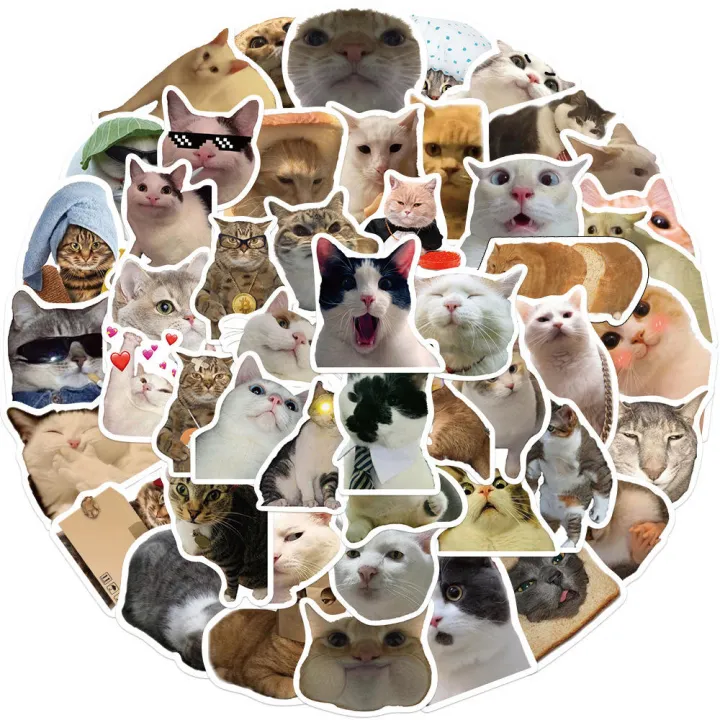 50Pcs%20Cute%20Cartoon%20Cat%20Stickers%20Funny%20Cat%20Memes%20Graffiti%20Stickers%20for%20Teens%20Adults%20Kids%20Waterproof%20Vinyl%20Stickers%20for%20Laptop%20Phone%20Guitar%20Water%20Bottles%20Luggage%20-%20Image%202