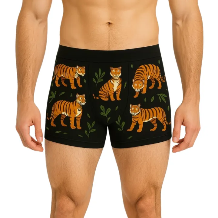 1%20Pieces%201%20Color%20Loxicave%20Imported%20China%20Men's%20Boxer%20Briefs%20Underwear%20for%20Boys%20-%20Image%203