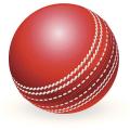 White & Red Cricket Ball- High-Quality Ball Suitable For Both Practice And Match Sessions. 