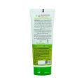 Mamaearth Tea Tree Face Wash - 100ml. 