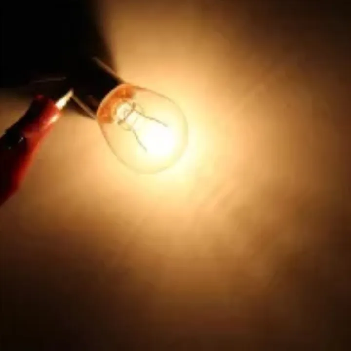 DC%2012v%20Bulb%20with%20Bulb%20Holder%20Socket%20-%20Incandescent%20Bulb%2012V%20with%20Holder%20-%20Image%203