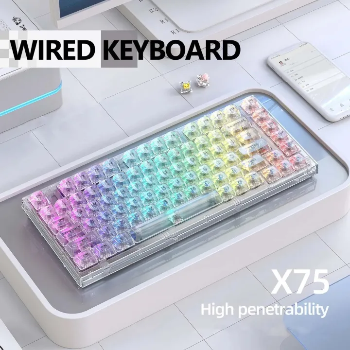 Transparent%20Mechanical%20Keyboard%20with%20RGB%20Backlit%2082%20Keys%20White%20HOT%20Swappable%20Mechancial%20Switch%20Wired%20Keyboard%20for%20Gamer%20-%20Image%206