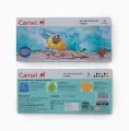 Camel Student Water Color Tube 12 Shades. 