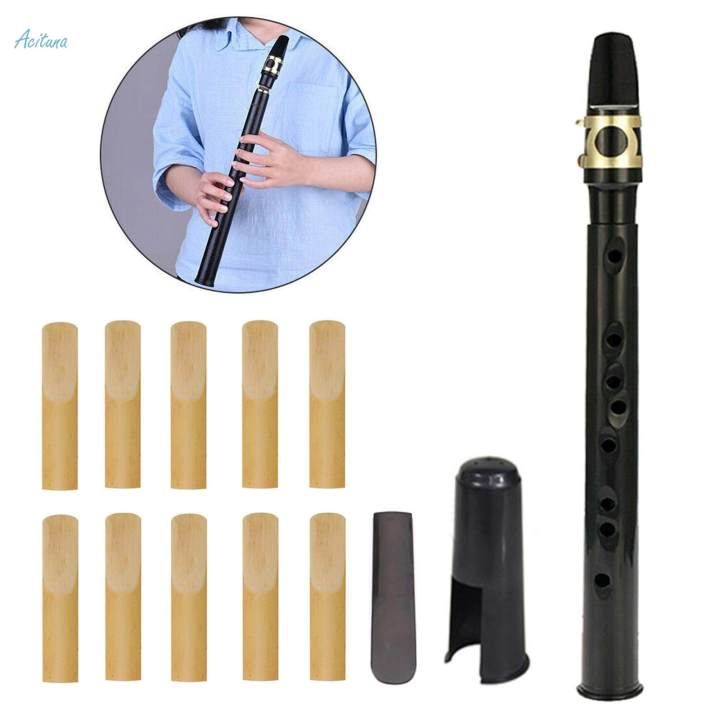 Mini Pocket Saxophone Perfect Practice Tool Lightweight C Key Saxophone Mini Sax Woodwind Instrument