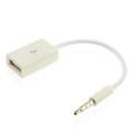 3.5mm Male AUX Audio Plug to USB 2.0 Female Converter Cable Cord for Car MP3.