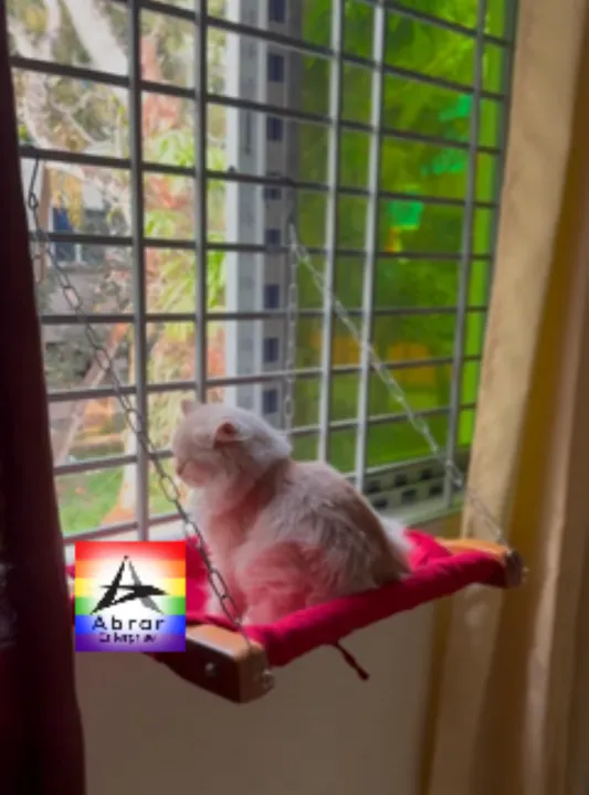 Cat%20Hammock%20Bed%20(Adjustable%20Space-saving%20durable%20Wooden%20Hanging%20hammock)%20-%20Image%206
