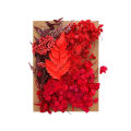 Mixed Multiple Colorful Dried Flowers For Resin Multicolor Jewelry Molds Real Pressed Dry Flower Leaves. 