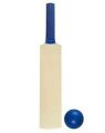 1PCS MINI CRICKET BAT ,SIZE 18 INCHE WITH TANNICE BALL FREE.