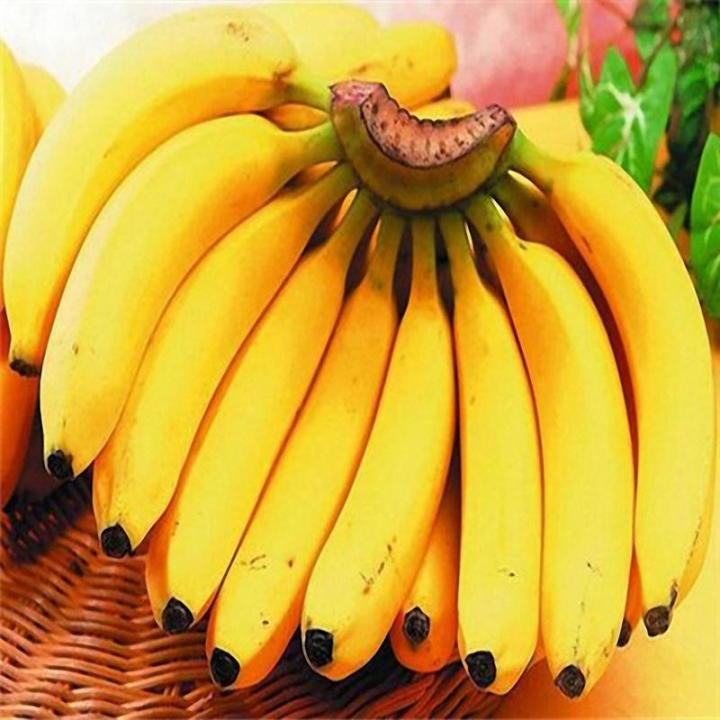 100Pcs%20Garden%20Banana%20Seeds%20Outdoor%20Dwarf%20Fruit%20Trees%20Banana%20Milk%20Taste%20Perennial%20Potted%20Fruit%20-%20Image%202