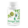 Quality natural Moringa Gain/Natural Moringa Gain. 