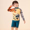 New 2022 Boys Swimwear Children Sun Protection Kids Cute Long Sleevezebra-stripe Boy Two Pieces Swimsuit. 