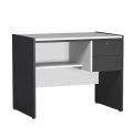 Trendy Mart Modern Study Desk with 2 Lockable Drawers & Storage Shelf | Computer Table | Home Office Writing Desk | Black & White. 